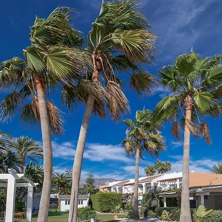 Paradise Apartment *