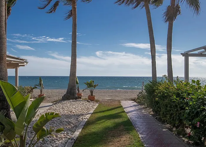 Paradise 4 *